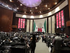 Política Comercial | Aprueban diputados aumento a aranceles a países asiáticos