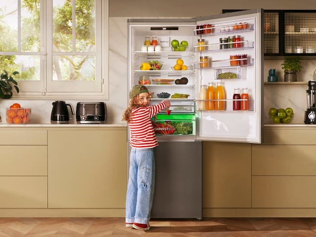 Gigante de los electrodomésticos en Europa desembarca en la Argentina