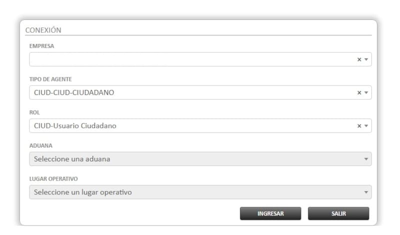 En esta pantalla hay que seleccionar el propio nombre en "Empresa" y luego elegir "Ciudadano" en los dos campos siguientes.