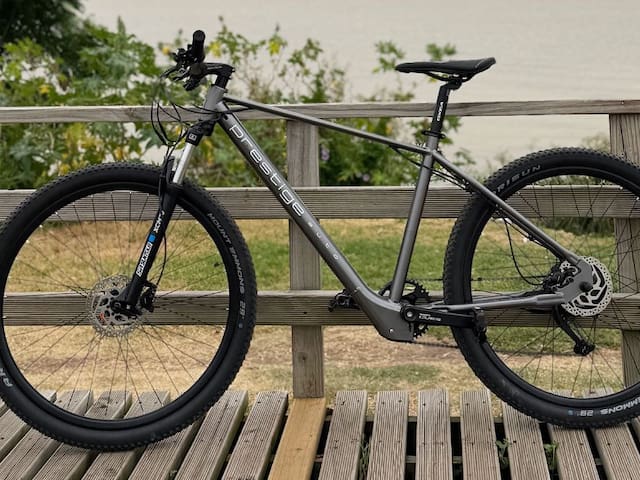 La operadora de Mercedes Benz en la Argentina ahora fabrica su propia bicicleta eléctrica en el país