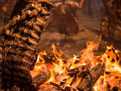 Fin de semana en la Provincia: una por una, todas las actividades que se pueden disfrutar