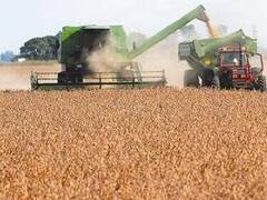 USDA recorta previsión de cosecha de soja 2017/18de la Argentina