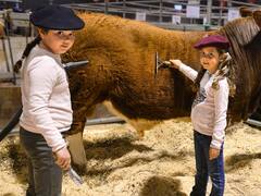 Expo Rural 2019 en Palermo: fechas, precios y actividades de una salida clásica para las vacaciones de invierno