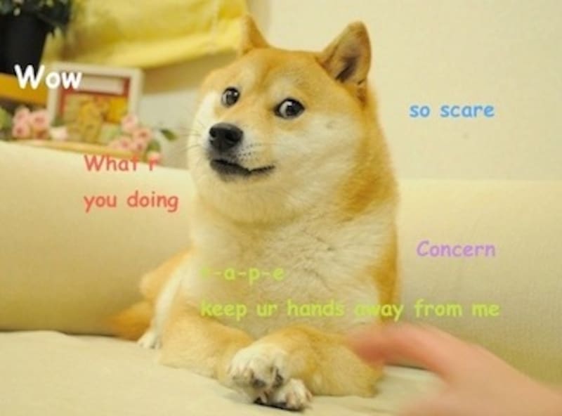 Este es el meme de "Doge".