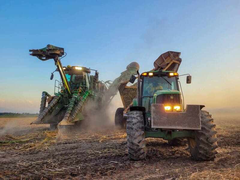 Blaquier asumió la conducción de Ledesma en 1970. Sucedió a su suegro, Ernesto Arrieta