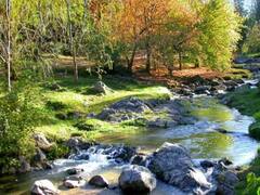 Cuál es la ciudad más tranquila de Argentina para mudarse y vivir para siempre, según la Inteligencia Artificial