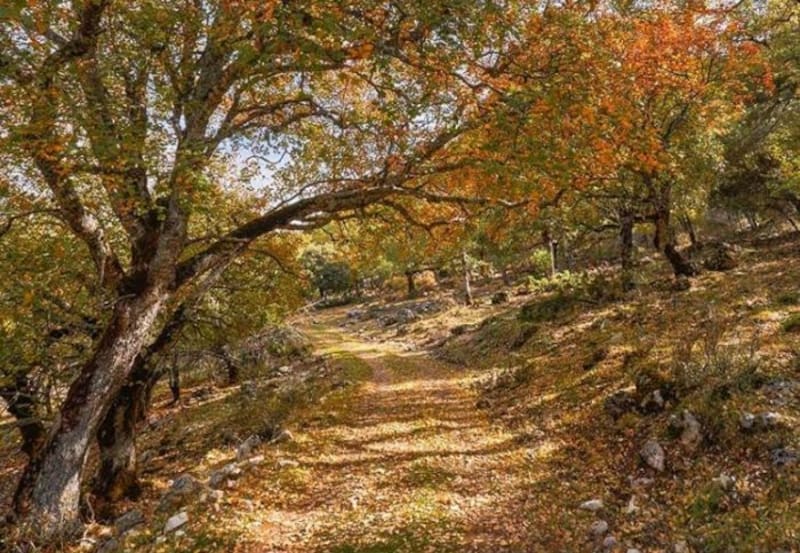 Descubre un tesoro natural de España y está a menos de horas de Murcia: cómo llegar a la cascada del "reventón"
