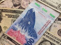 Debutaron las Lelink: se canjeó la mitad del vencimiento del Bono Dual