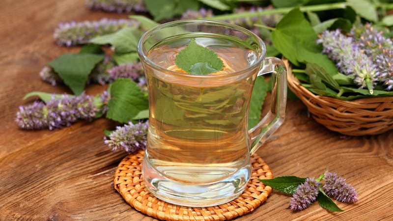 Este té contiene multiples propiedades medicinales.