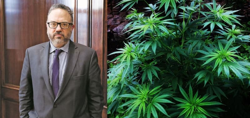 La ley que fomenta la producción del cannabis medicinal y del cáñamo industrial fue impulsada por Kulfas.