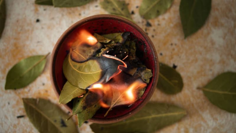 Ritual del laurel fácil y rápido. Fuente: Shutterstock