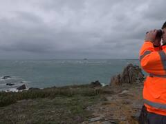 Reanudan la búsqueda de Emiliano Sala: las cuatro hipótesis que se manejan