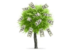 En la calle Florida ya se ven más "arbolitos" que comercios