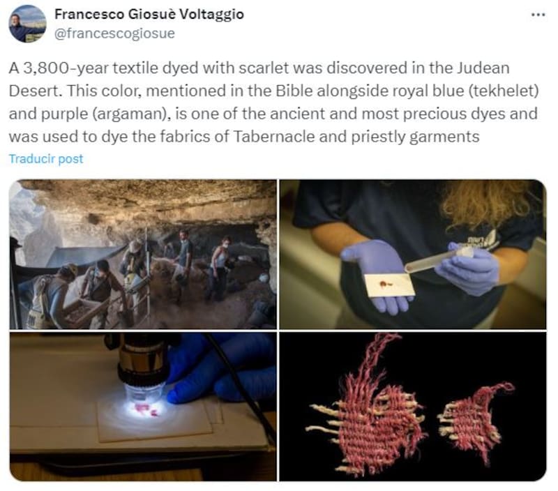 El descubrimiento en una cueva en Israel. (Foto: captura X).