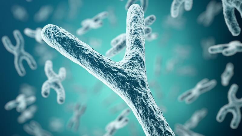 <div class="migrated-promo-image__description"><div class="migrated-promo-image__source">Fuente: Archivo</div></div>