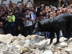 El gigante dormido que habita debajo de CDMX que amenaza con destruir toda la ciudad | México se prepara para lo peor