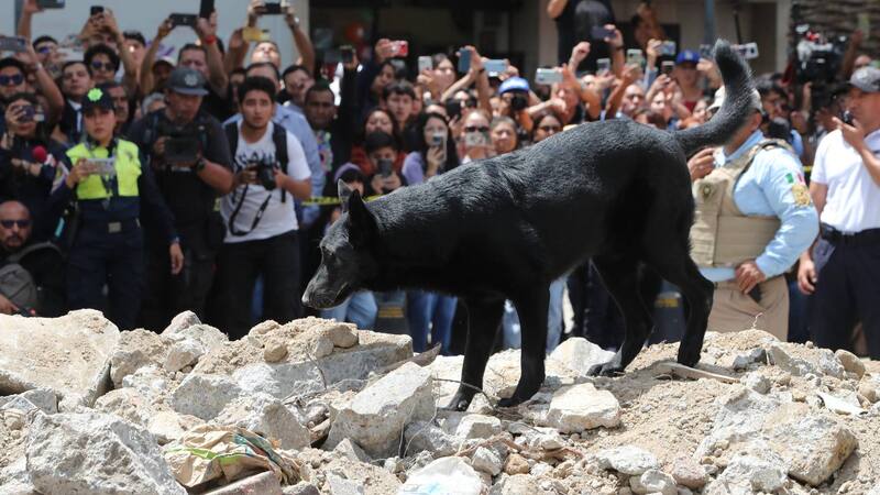 <div class="migrated-promo-image__description"><div class="migrated-promo-image__source">Fuente: EFE</div></div>