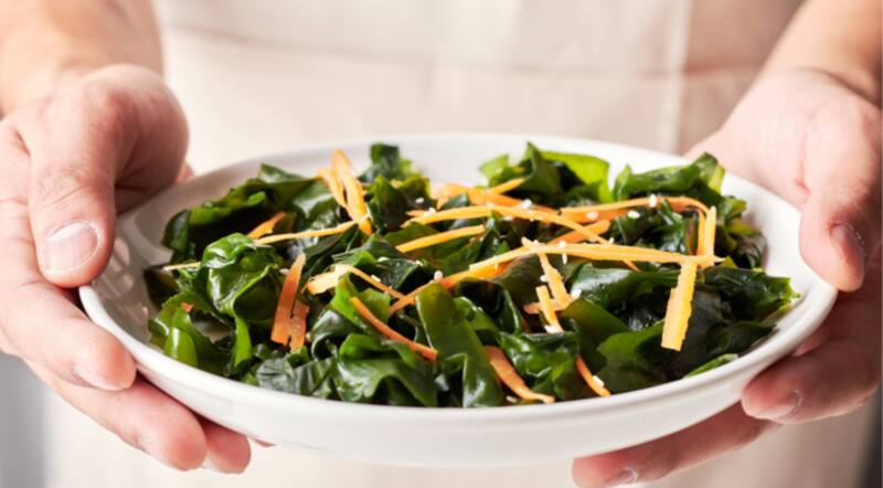 No es leche: este alimento contiene 10 veces más calcio y es el mejor para facilitar la digestión y regular el peso.