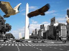 Desde el Ejecutivo calificaron como “positiva la resolución de Griesa