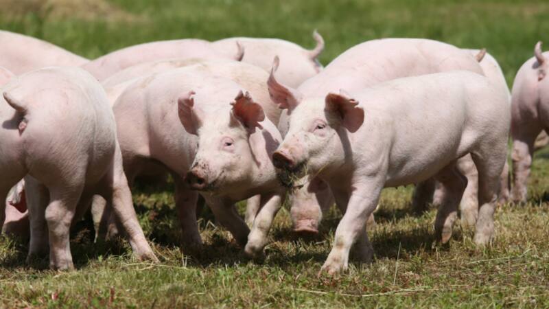 Pese a que la reforma impositiva intenta impulsar el consumo y bajar los niveles de informalidad, hay preocupación en el sector.