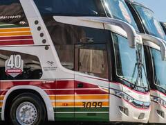 Viajes gratis en micro: todas estas personas podrán acceder al beneficio en las vacaciones de invierno