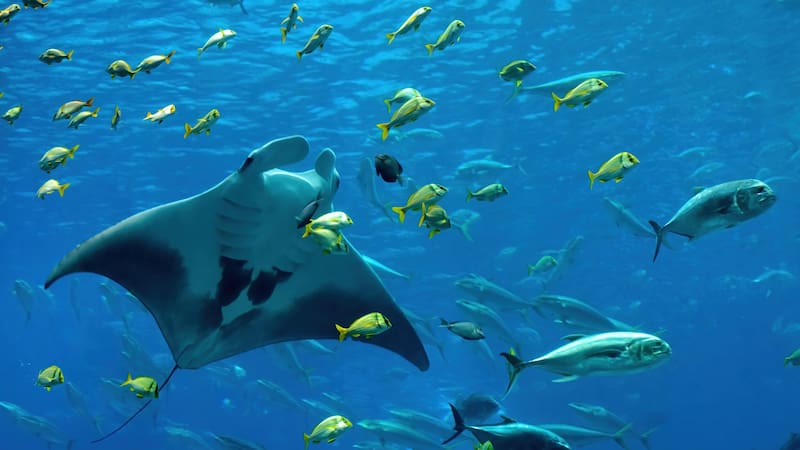 <div class="migrated-promo-image__description"><div class="migrated-promo-image__source">Fuente: Shutterstock 1869418264</div></div>