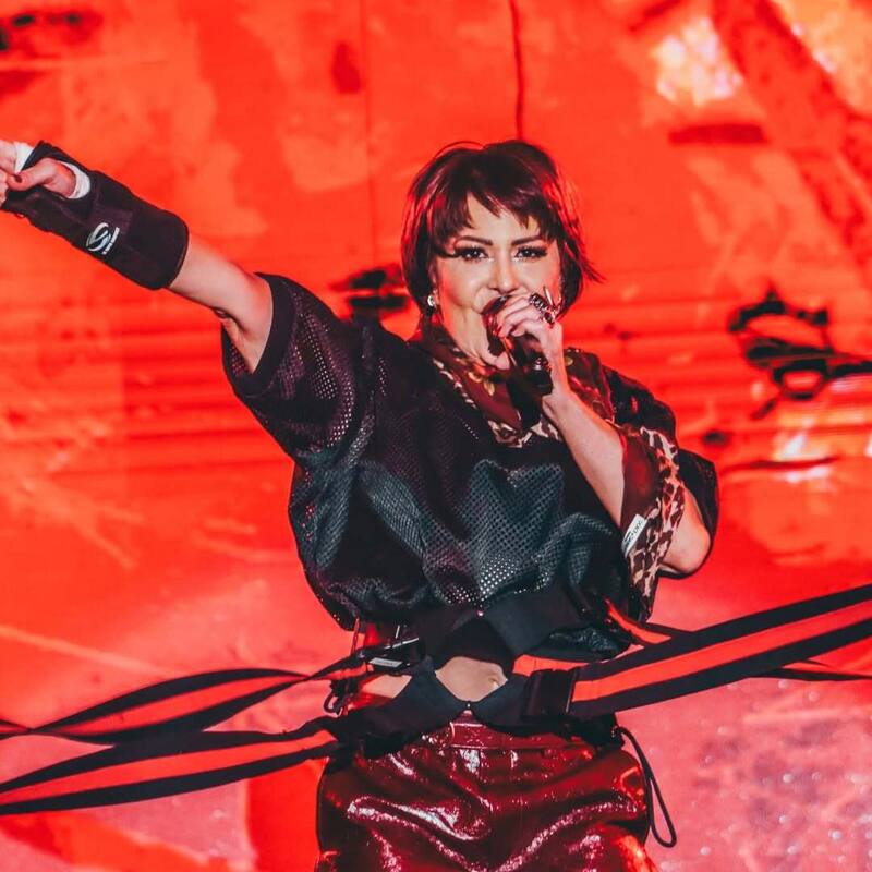 Alejandra Guzmán ha tenido una prolífica carrera y acumulado millones de dólares. Foto: Instagram @laguzmanmx.