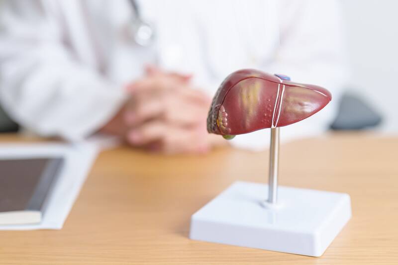 Las bebidas alcohólicas impactan sobre el hígado de manera progresiva (Fuente: Ferrpik)