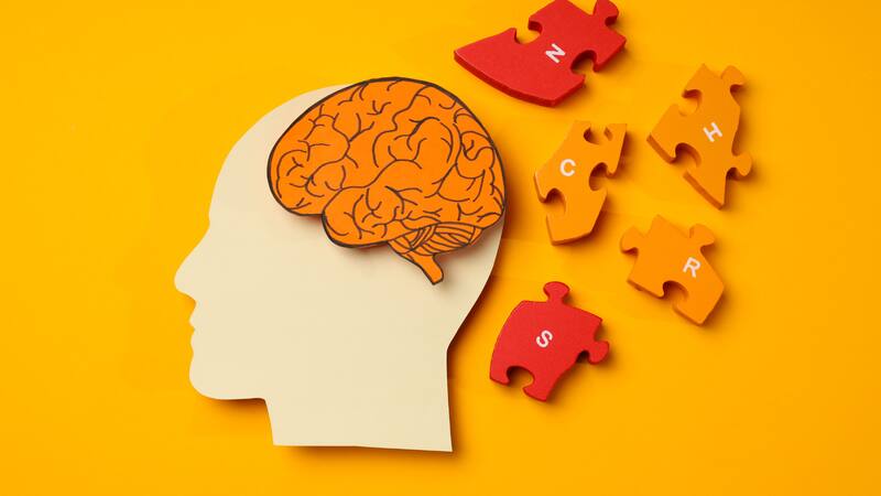 <div class="migrated-promo-image__description"><div class="migrated-promo-image__source">Fuente: Canva</div></div>