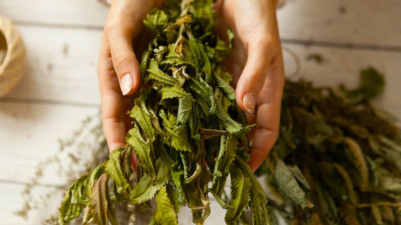 <div class="migrated-promo-image__description"><div class="migrated-promo-image__source">Fuente: Shutterstock</div></div>