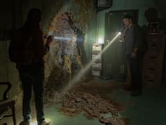 The Last of Us: ¿es posible que ocurra una infección de hongos mundial como pasa en la serie?