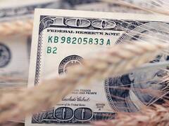 Brusca caída en la liquidación de divisas de agroexportadores