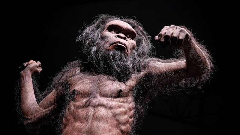 Descubrimiento prehistórico: encuentran un neandertal que vivió aislado hace más de 50.000 años y desafía todo lo que conocemos sobre su extinción.
