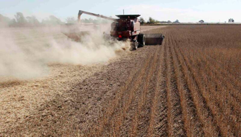 El sector sojero sigue ingresando fuertes cantidades de dólares al mercado oficial de cambios.