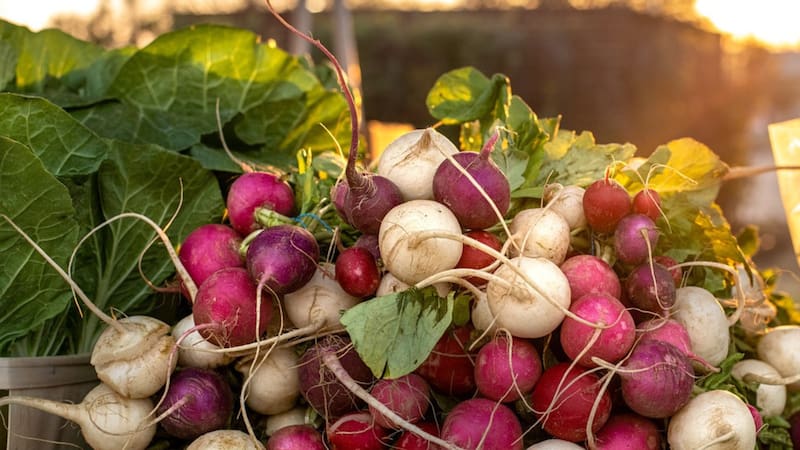 <div class="migrated-promo-image__description"><div class="migrated-promo-image__source">Fuente: Pixabay</div></div>