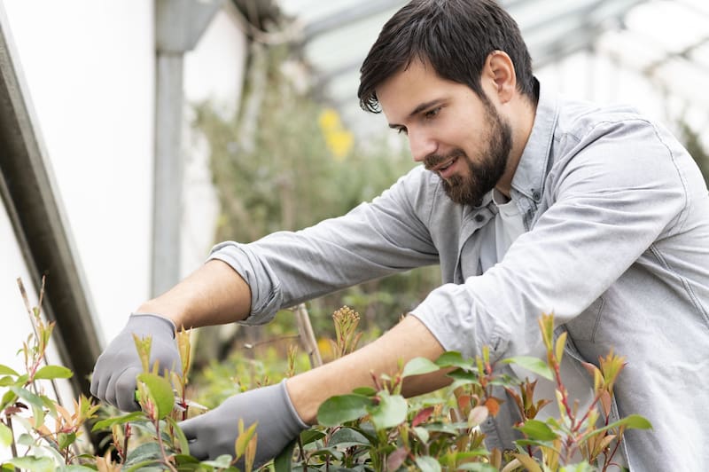 Con cáscaras de naranja puedes hacer abonos caseros que favorecen el crecimiento de las raíces. (Foto: Freepik)