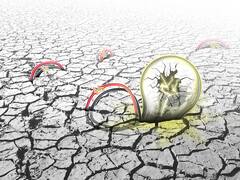 La peligrosa precariedad de nuestro sector eléctrico