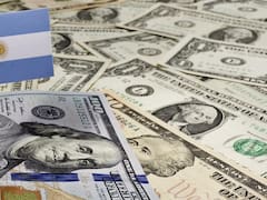 El Congreso convirtió en ley la reestructuración de la deuda bajo legislación local