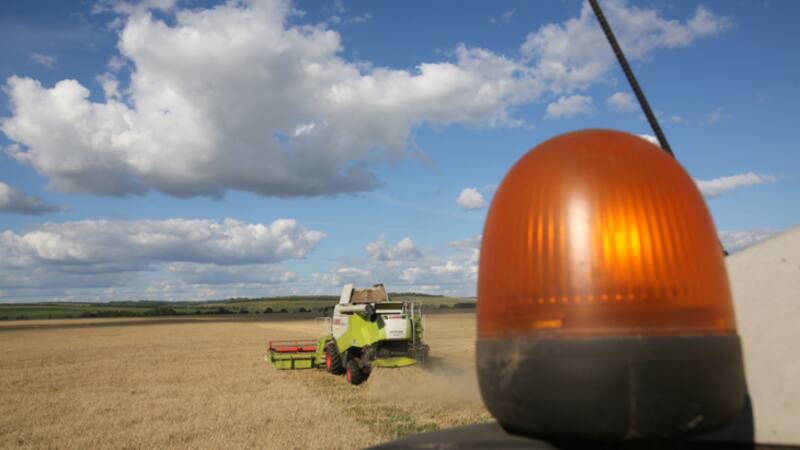 La crisis por la guerra aceleró la inseguridad alimentaria dado que el principal granero del mundo estaba representado por Ucrania y Rusia. BLOOMBERG