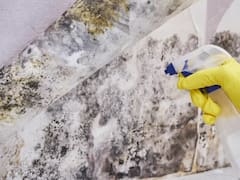 No es cloro: esta mezcla natural arrasa con el moho y elimina las manchas de humedad de la pared en segundos