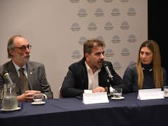 El PRO alienta otra sesión especial para el proyecto Ficha Limpia