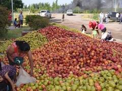 Cierra una planta de la frutícola Moño Rojo