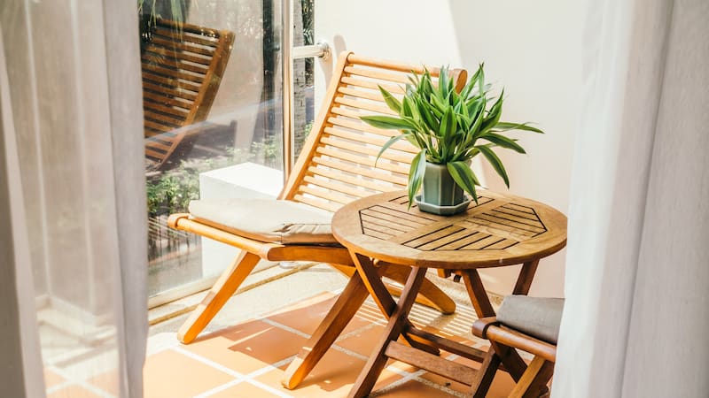 La ventaja de esta planta es que no necesita sol directo para sobrevivir.