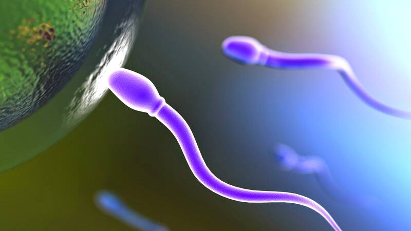 <div class="migrated-promo-image__description"><div class="migrated-promo-image__source">Fuente: Freepik</div></div>