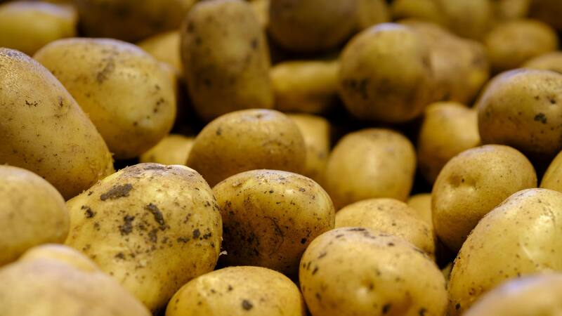 La luz solar estimula la producción de esta sustancia en las papas.