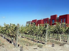 Grupo catalán Freixenet vende su bodega de Mendoza