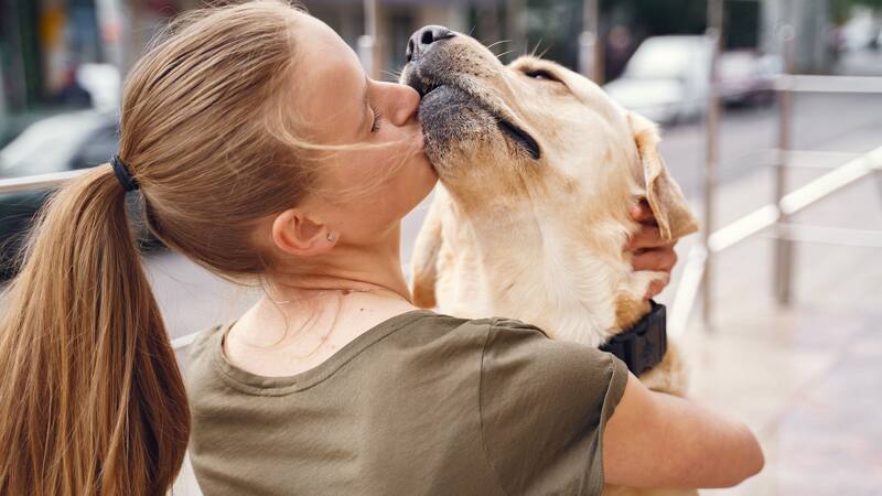 Las demostraciones de afecto hacia las mascotas tienen efectos negativos