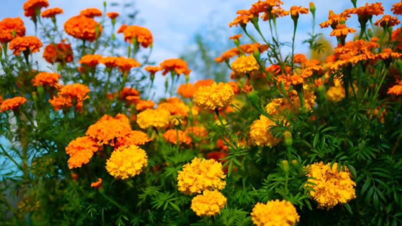 <div class="migrated-promo-image__description"><div class="migrated-promo-image__source">Fuente: iStock</div></div>