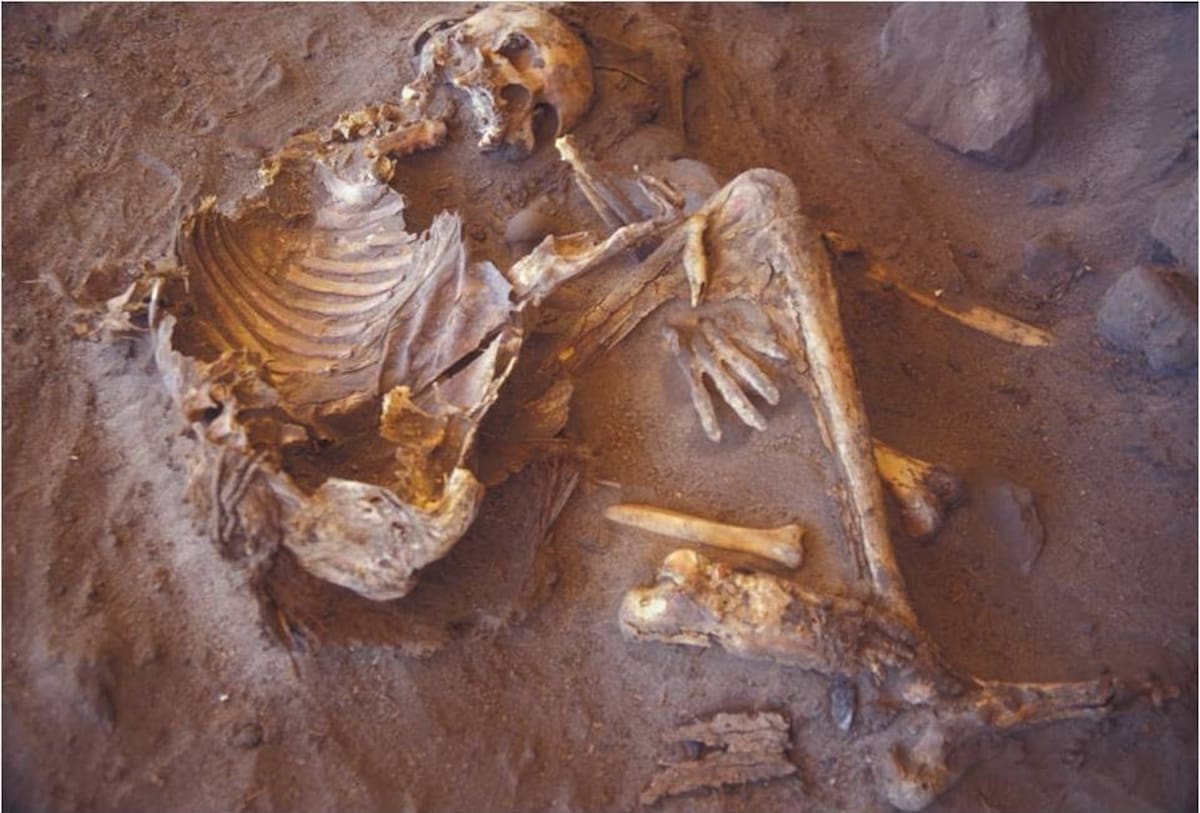 Increíble hallazgo científico: encuentran momias de 7000 años que no son humanas