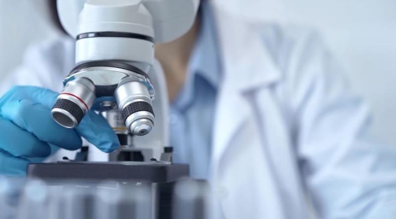 Este nuevo estudio arroja luz sobre los hábitos alimenticios de nuestros antepasados. Fuente: archivo.